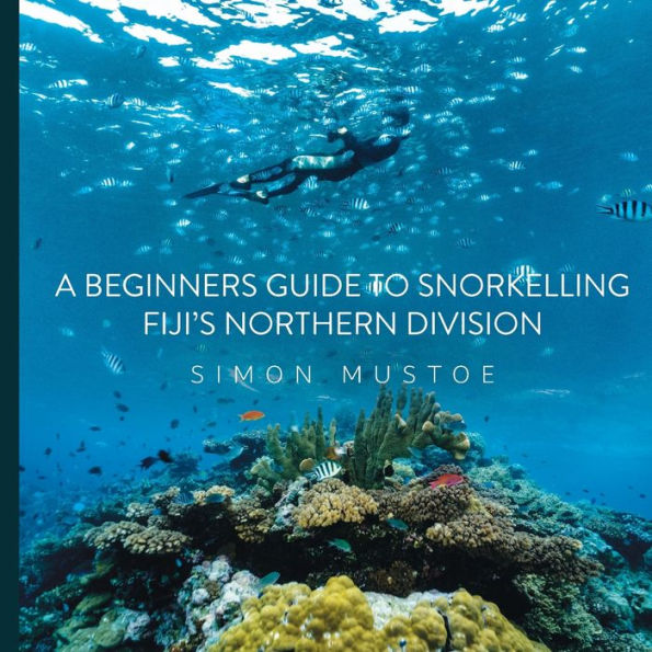 A Beginner'S Guide To Snorkelling Fiji'S Northern Division