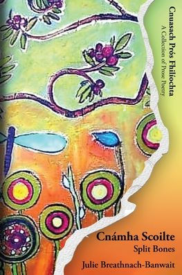Cnámha Scoilte/Split Bones (Irish Edition)