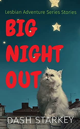 Big Night Out: Lesbian Adventure Series Stories