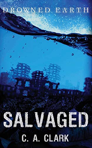 Salvaged (Drowned Earth)