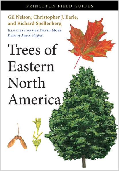 Trees Of Eastern North America (Princeton Field Guides, 93)