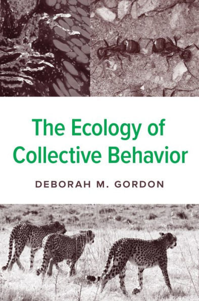 The Ecology Of Collective Behavior