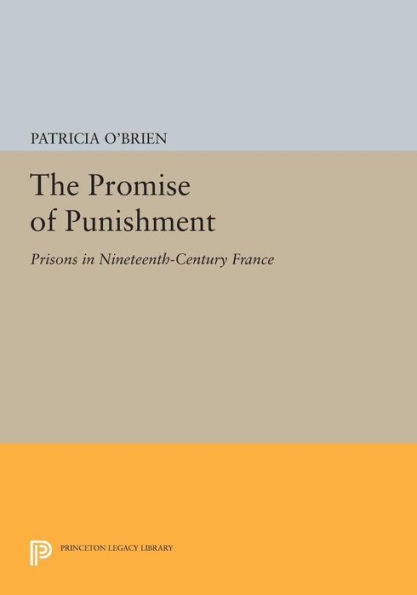 The Promise Of Punishment: Prisons In Nineteenth-Century France (Princeton Legacy Library, 764)