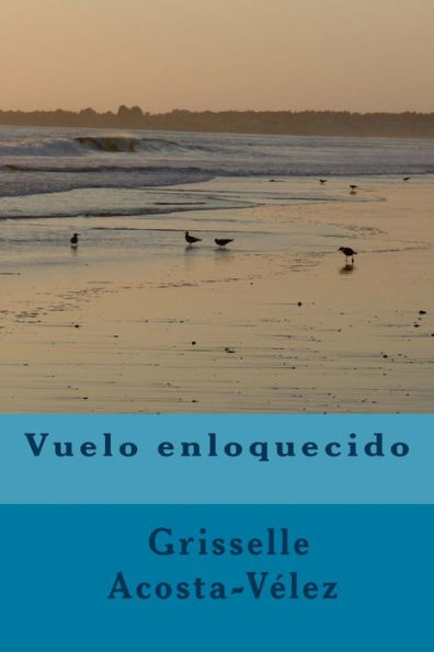 Vuelo Enloquecido (Spanish Edition)