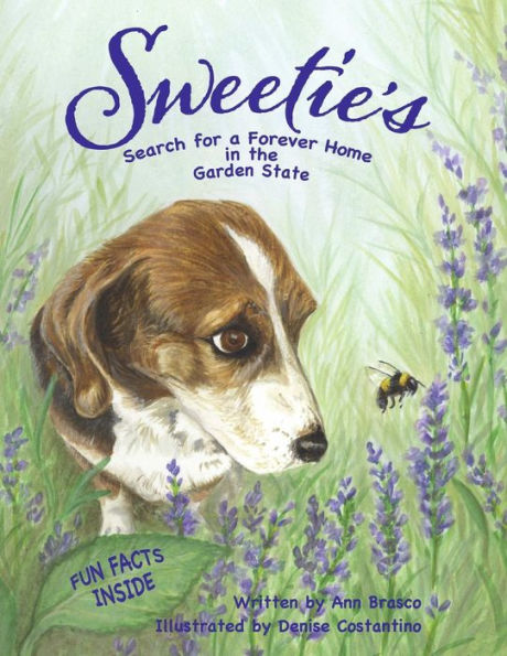 Sweetie'S Search For A Forever Home In The Garden State
