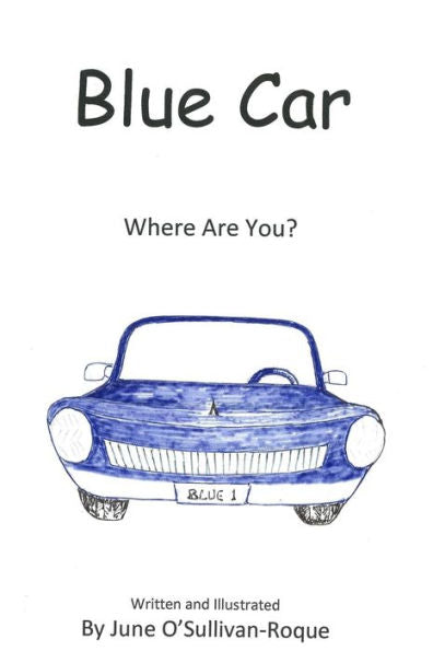 Blue Car: Where Are You?