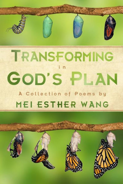 Transforming In God'S Plan: A Collection Of Poems