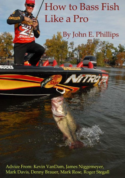 How To Bass Fish Like A Pro