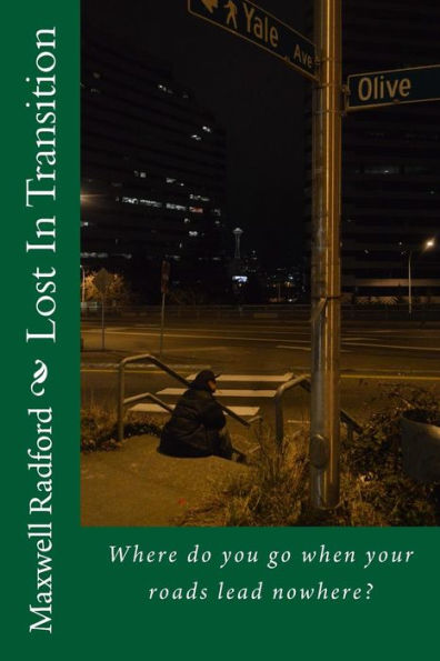 Lost In Transition (Damien Trilogy)
