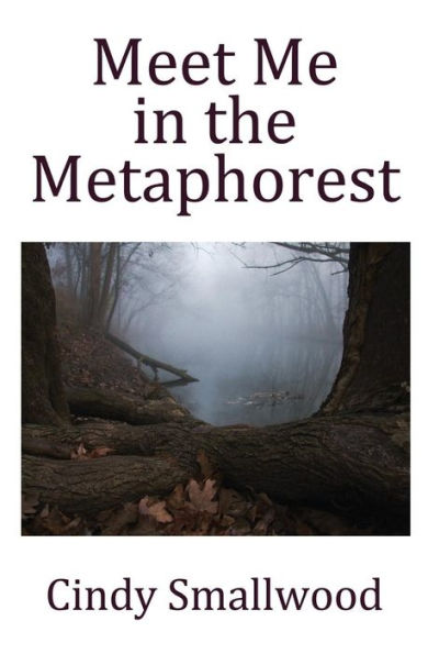 Meet Me In The Metaphorest