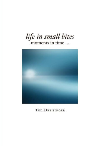 Life In Small Bites: Moments In Time...