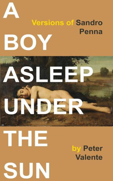 A Boy Asleep Under The Sun: Versions Of Sandro Penna