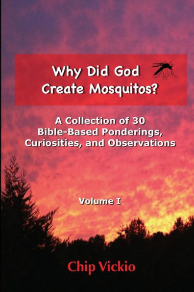 Why Did God Create Mosquitos?: A Collection Of 30 Bible-Based Ponderings, Curiosities, And Observations