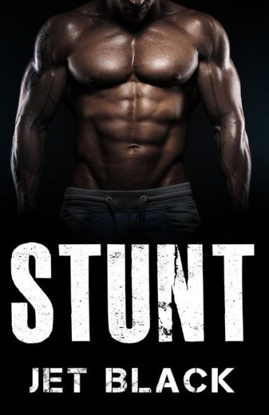 Stunt (The Ricky Stunt Series)