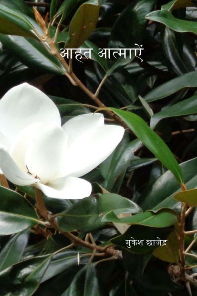 Aahat Atmaen (Hindi Edition)