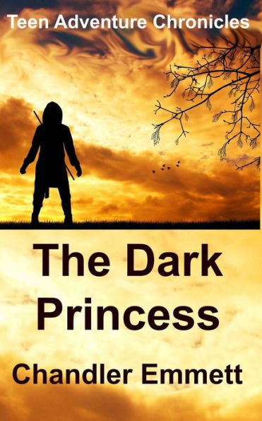 The Dark Princess (Teen Adventure Chronicles)