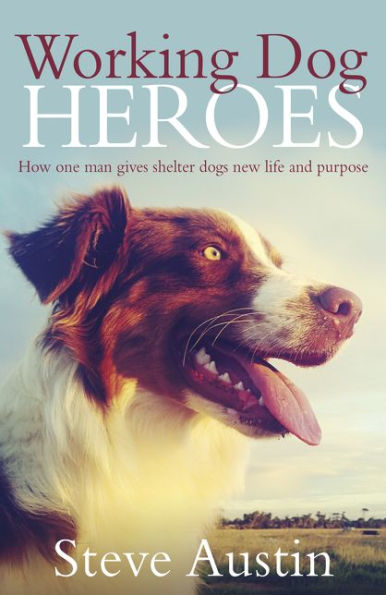 Working Dog Heroes