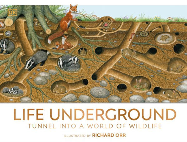 Life Underground: Tunnel Into A World Of Wildlife (Dk Panorama)