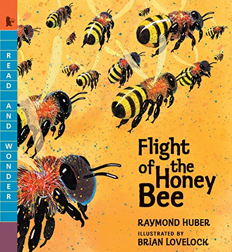 Flight Of The Honey Bee (Read And Wonder)