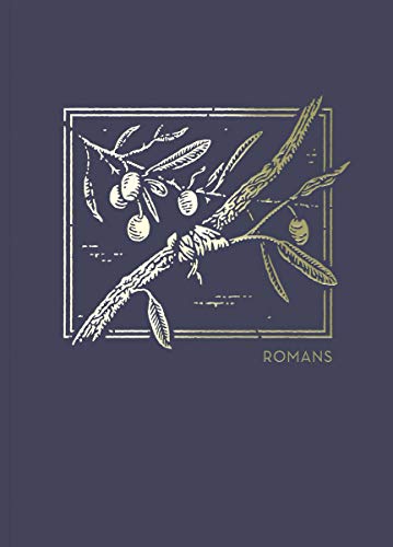 Net Abide Bible Journal - Romans, Paperback, Comfort Print: Holy Bible