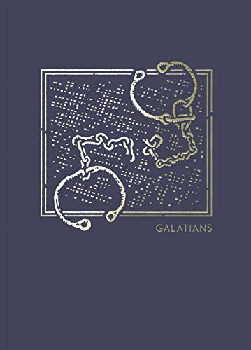 Net Abide Bible Journal - Galatians, Paperback, Comfort Print: Holy Bible