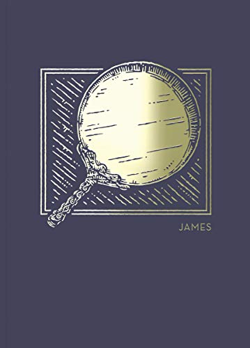 Net Abide Bible Journal - James, Paperback, Comfort Print: Holy Bible