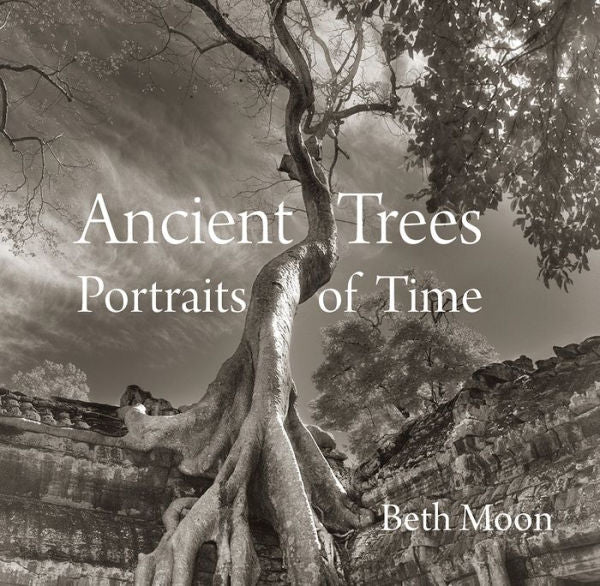Ancient Trees: Portraits Of Time