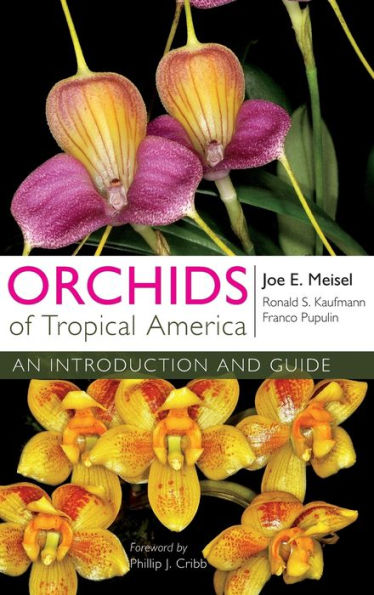 Orchids Of Tropical America: An Introduction And Guide