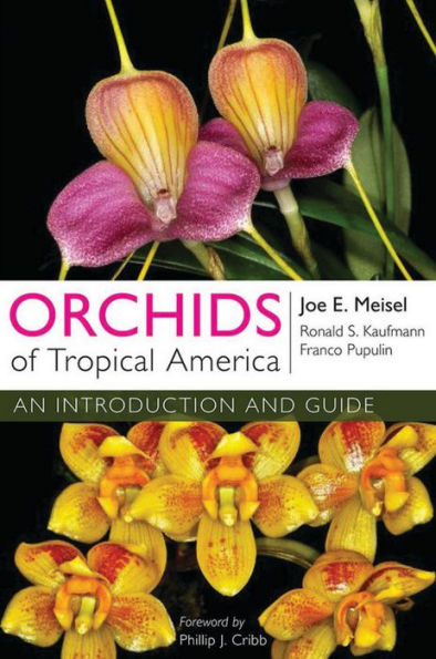 Orchids Of Tropical America: An Introduction And Guide