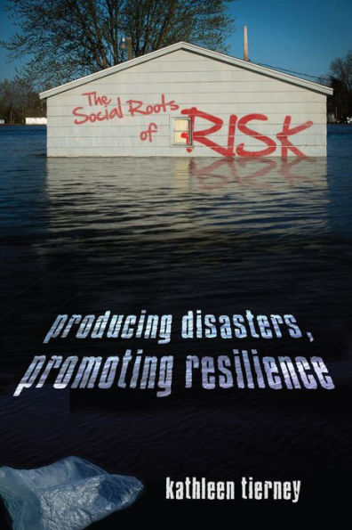 The Social Roots Of Risk: Producing Disasters, Promoting Resilience (High Reliability And Crisis Management)