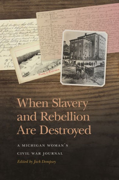 When Slavery And Rebellion Are Destroyed: A Michigan Woman’S Civil War Journal (New Perspectives On The Civil War Era Ser.)