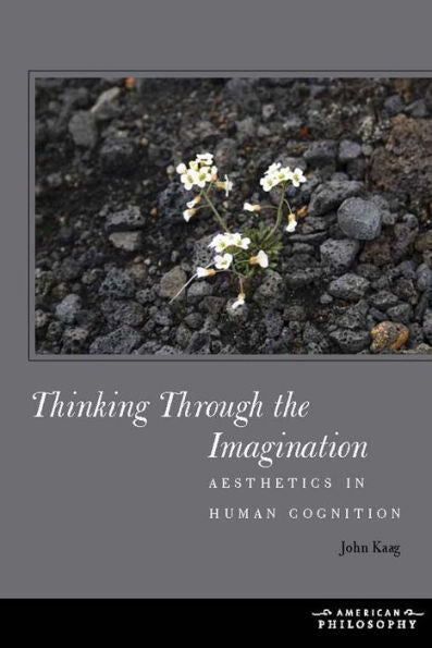 Thinking Through The Imagination: Aesthetics In Human Cognition (American Philosophy)