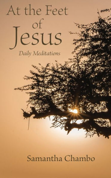 At The Feet Of Jesus: Daily Meditations