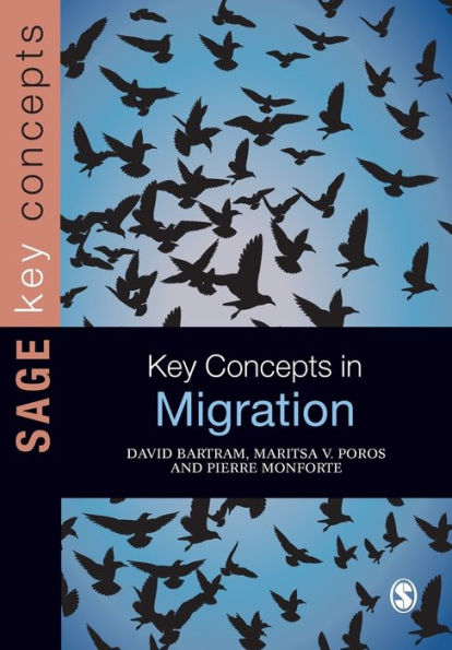 Key Concepts In Migration (Sage Key Concepts Series)
