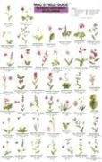 Mac's Field Guides: Pacific NW Wildflowers (Mac's Guides (Flash Cards))