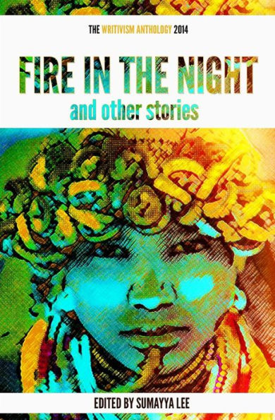 Fire In The Night And Other Stories: The 2014 Writivism Anthology
