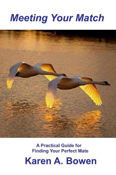 Meeting Your Match - A Practical Guide For Finding Your Perfect Mate