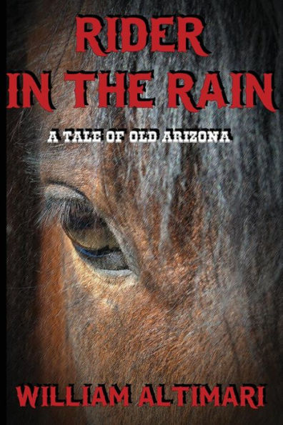 Rider In The Rain