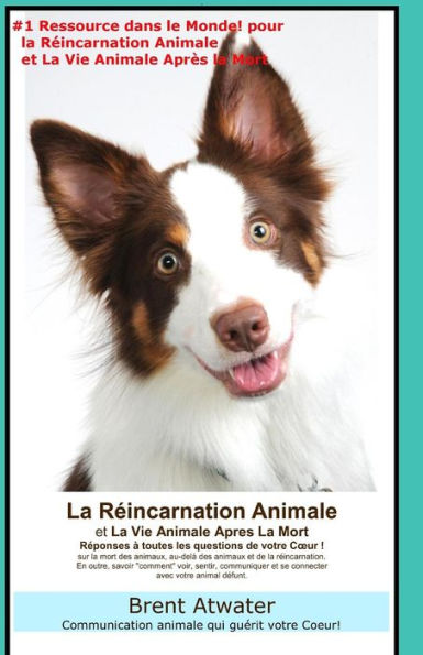 La Reincarnation Animales Et La Vie Animale Apres La Mort: Reponses A Toutes Les Questions De Votre Coeur! (French Edition)