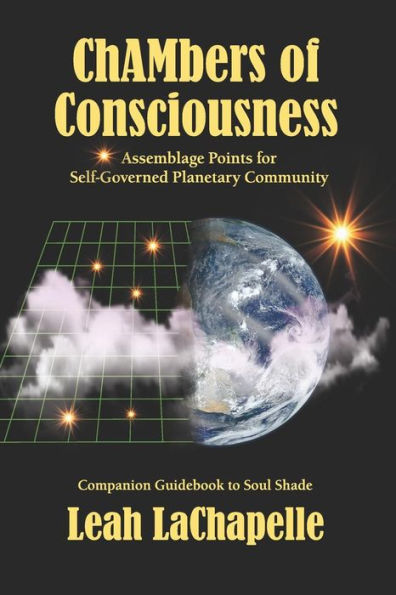 Chambers Of Consciousness: Assemblage Points For Self-Governed Planetary Community
