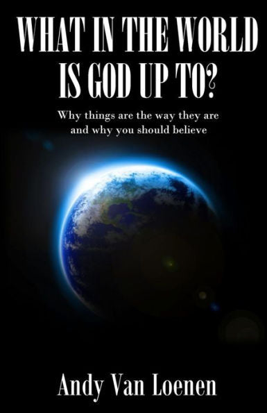 What In The World Is God Up To?: Why Things Are The Way They Are And Why You Should Believe