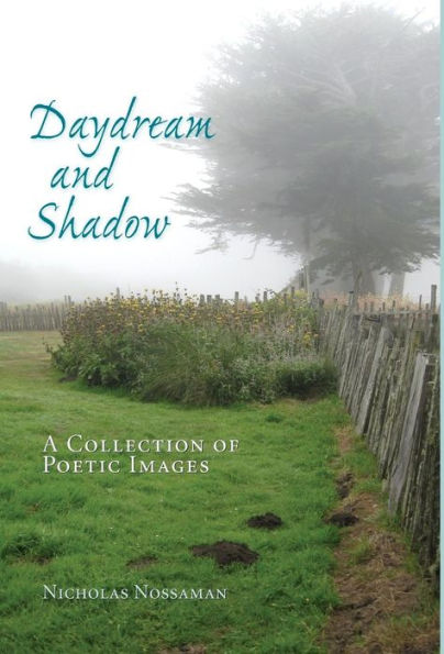 Daydream And Shadow: A Collection Of Poetic Images