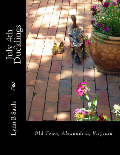 July 4Th Ducklings: Old Town, Alexandria, Virginia