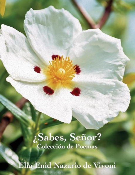 Sabes, Senor? (English And Spanish Edition)