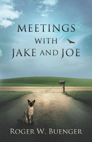 Meetings With Jake And Joe