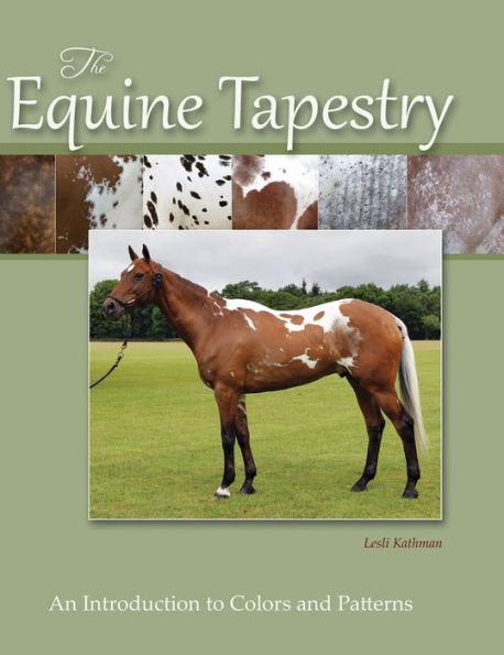 The Equine Tapestry: An Introduction To Colors And Patterns
