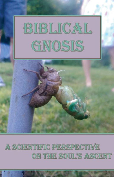 Biblical Gnosis: A Scientific Perspective On The Soul'S Ascent