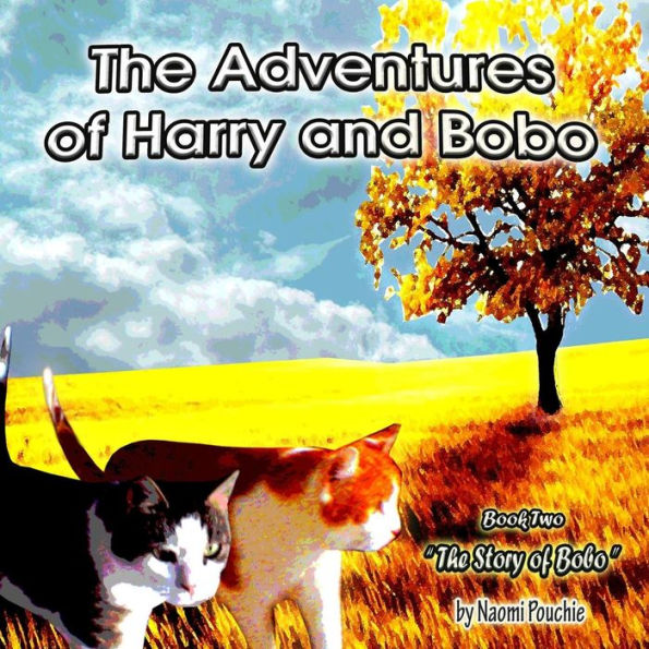 The Story Of Bobo (The Adventures Of Harry And Bobo)