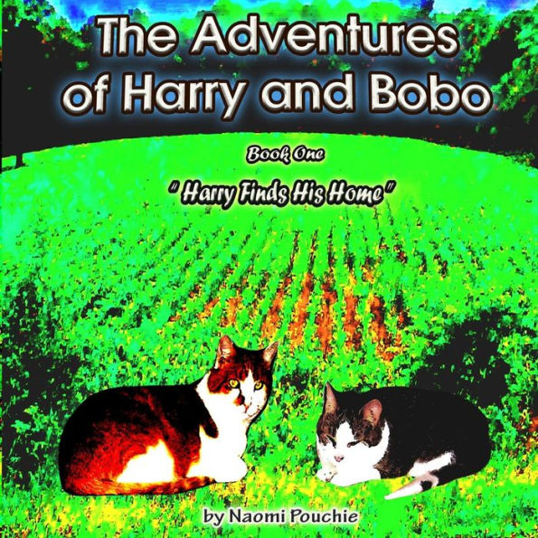 Harry Finds His Home (The Adventures Of Harry And Bobo)