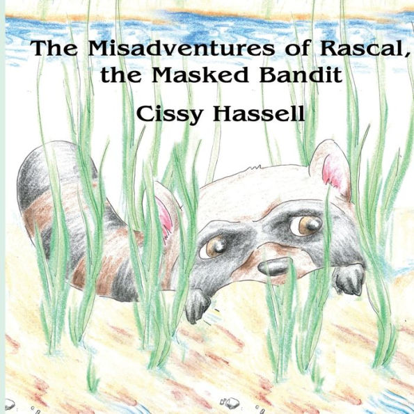 The Misadventures Of Rascal, The Masked Bandit